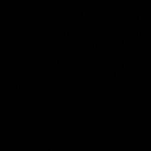 Meet your Posher, Natasha